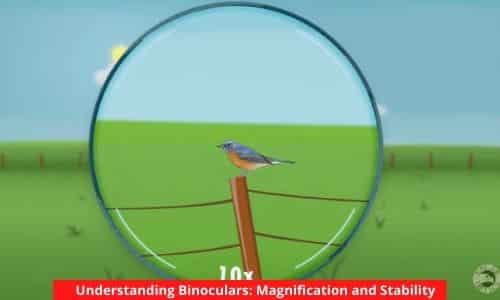 Understanding Binoculars: Magnification and Stability