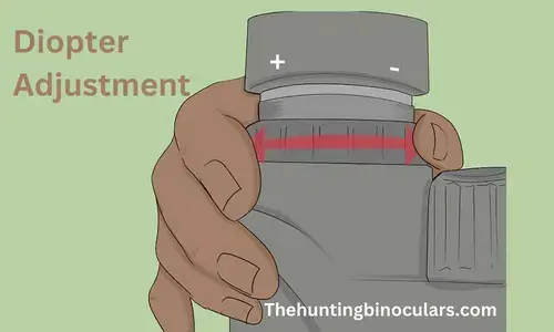 How To Adjust The Binocular Magnification