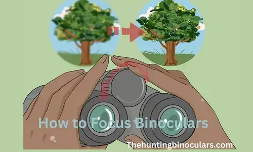 How to Focus Binoculars