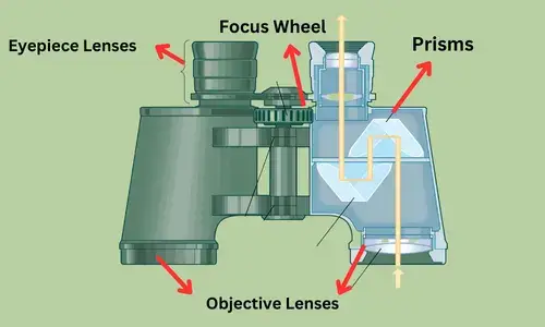 Parts Of The Binoculars