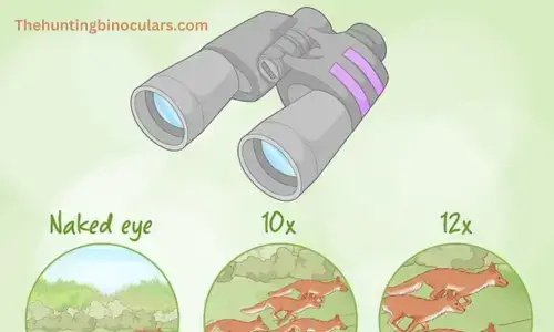 Magnification Of The Binocular