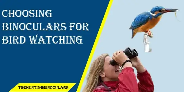  Choose Binoculars for Bird Watching