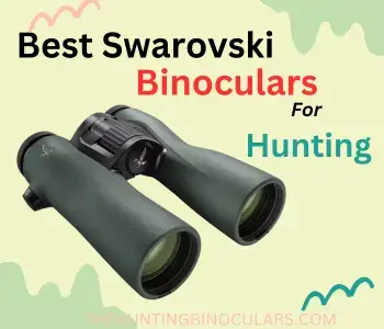 Best Swarovski Binoculars for Hunting 