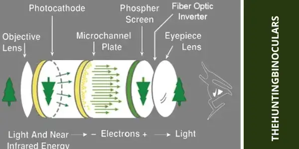 How Do Night Vision Binoculars Work