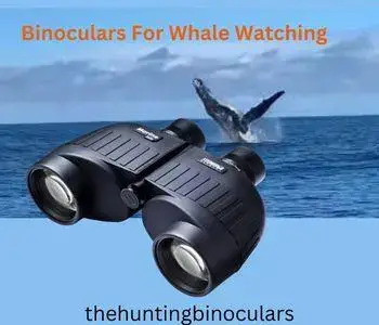 Best Binoculars For Whale Watching