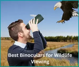 Best Binoculars for Wildlife Viewing