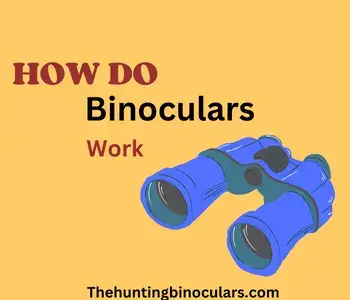 How Do Binoculars Work