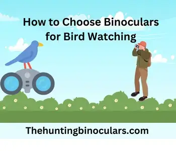 How to Choose Binoculars for Bird Watching