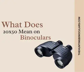 What Does 20x50 Mean on Binoculars