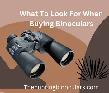 What To Look For When Buying Binoculars