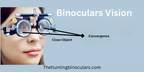What is Binocular Vision