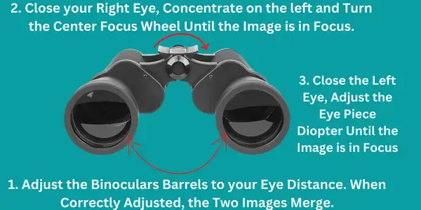to focus binoculars