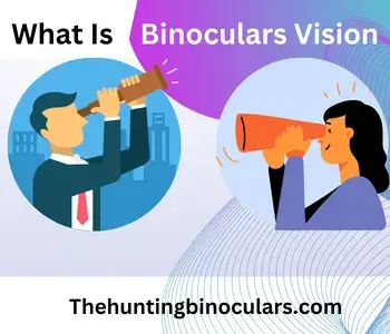 what is binocular vision