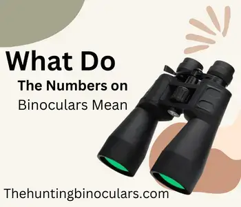What Do The Numbers on Binoculars Mean