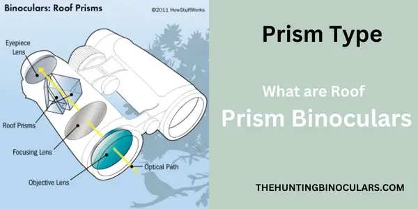 What are roof prism binoculars
