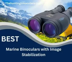 best marine binoculars with image stabilization