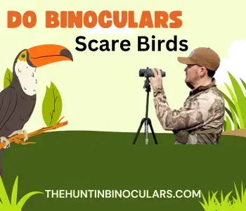 do binoculars scare birds